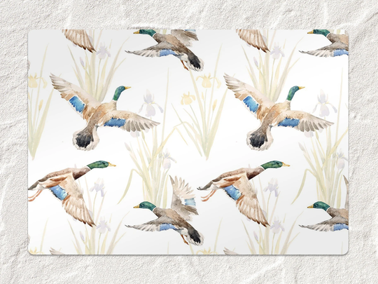 Watercolor Ducks Chair Mat, Brown Vinyl Floor Beige Protective Animals Splat Pvc Decorative Gift Idea, Splash Mat
