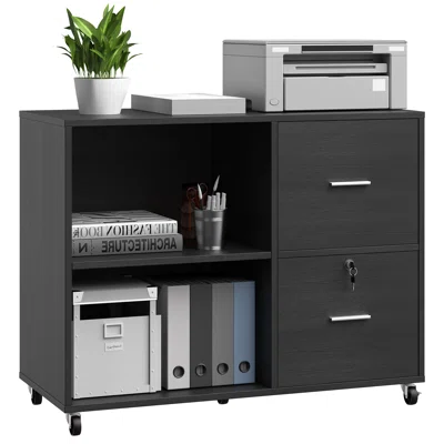 Ayaka 35" Wide 2 - Drawer Filing Storage Cabinet