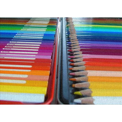 Pencils Multicolor Area Rug