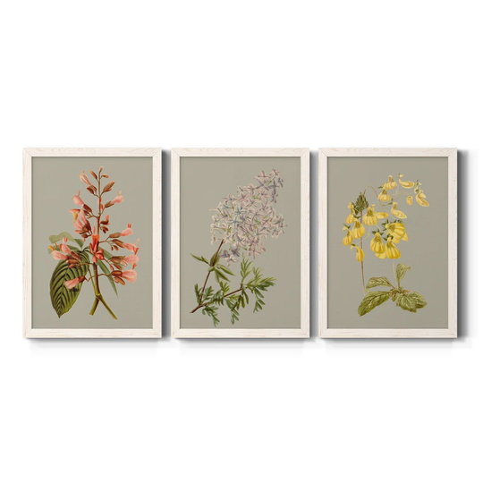 Botanical Array I-Premium Framed Canvas - Ready to Hang - Multi-Color