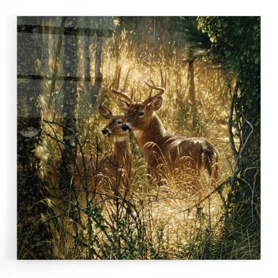 A Golden Moment by Collin Bogle - Unframed Print