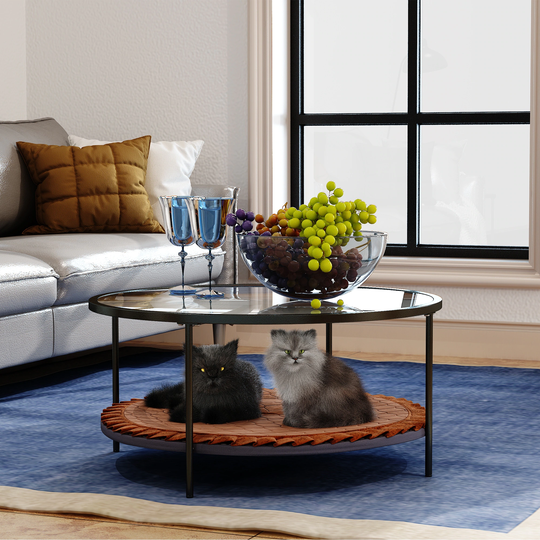 Glass Top Round Coffee Table Dual Layer Coffee Table With Metal Frame
