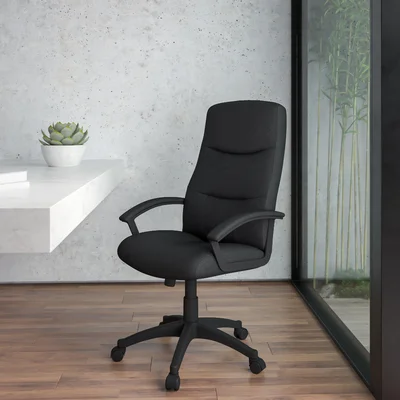 Camyrn Office Chair