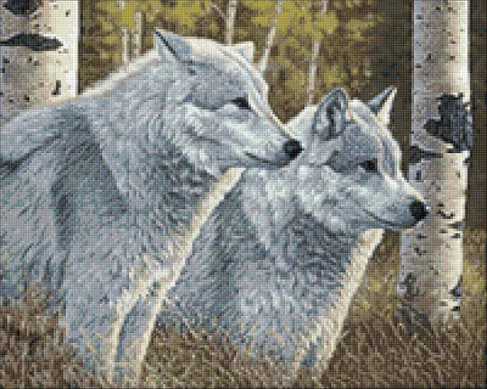 Wolves Diamond Painting Set By Crafting Spark. Cs2570 Forest Landscape Art Kit. Large Kit