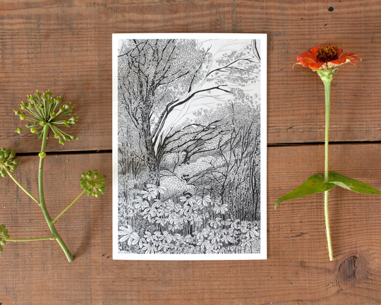 Tree Postcard, Nature Art Postcard, Fall Illustration, Postcrossing, Forest Pencil Drawing, Black & White, Scandinavian Nordic Charm Trend