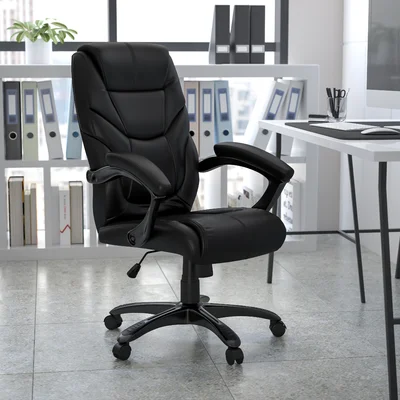 Xzavier Executive Swivel Ergonomic Office Chair with High Back Design, Padded Arms