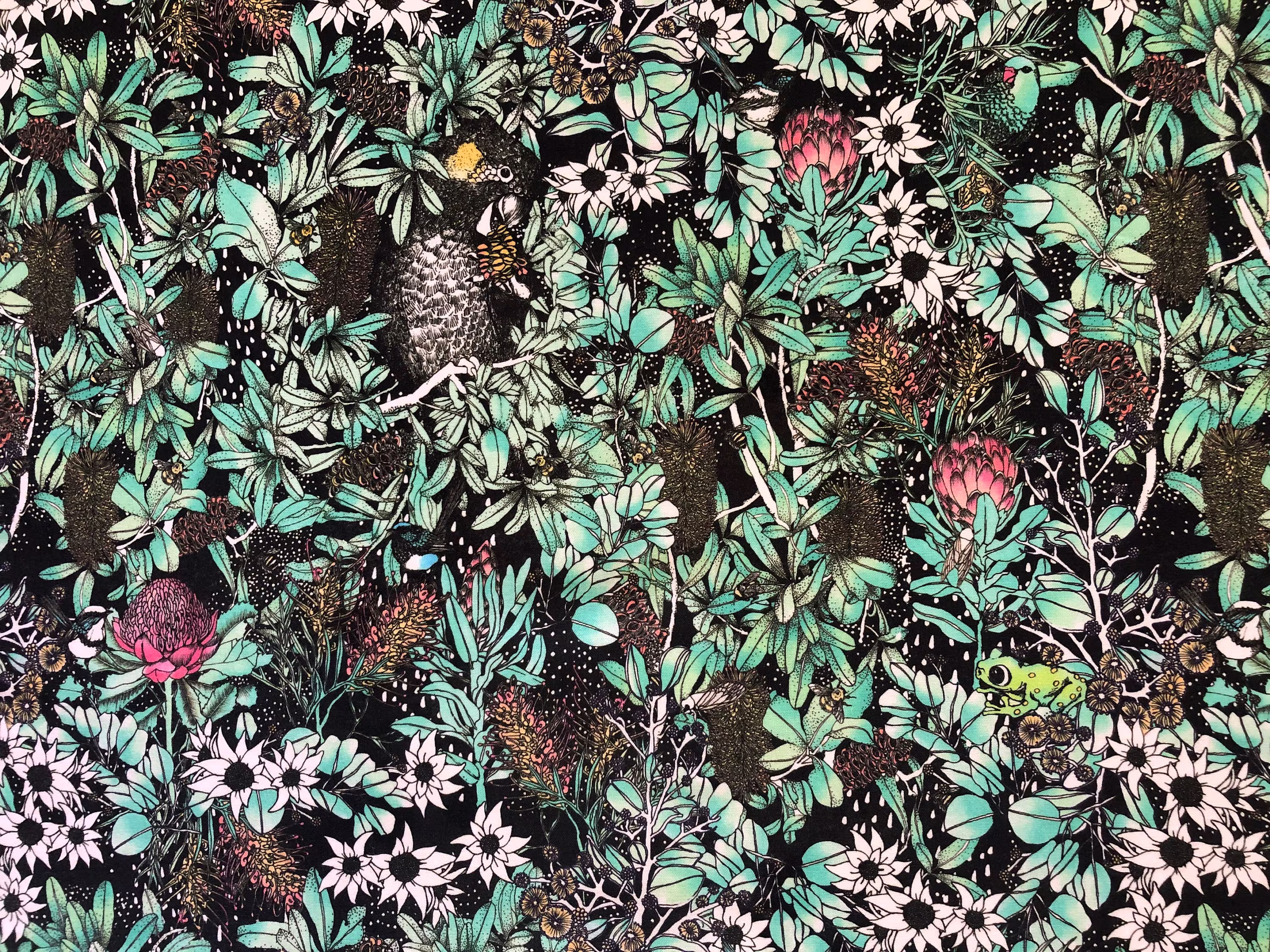 Scenic Route Parrot, Frog & Aussie Native Flora Green Black Quilting Cotton Fabric By 1/2 Yard Or Fat Quarter