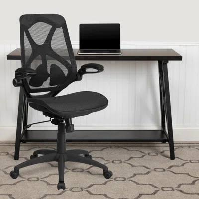 Wynkoop High Back Mesh Ergonomic Office Chair-Adjustable Lumbar, 2-Paddle Control
