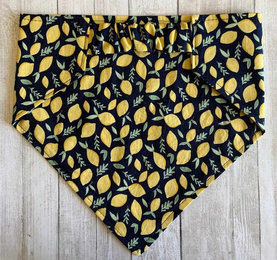 Dog Bandana, Lemon Squeeze, Elastic Scrunchie Personalized Bandana