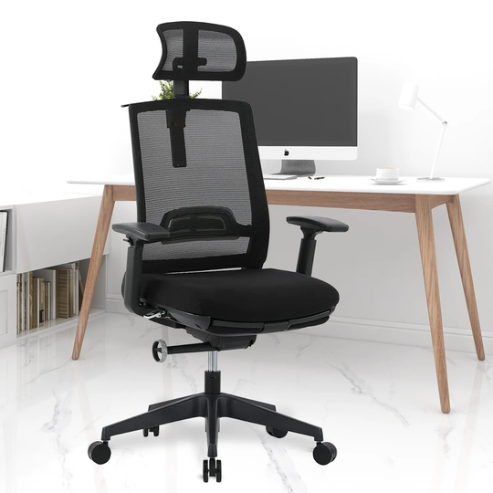 Ergonomic Office Chairs with Lumbar Support Adjustable Armrest, Backrest and Headrest