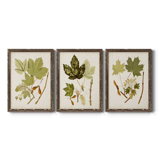 Antique Leaves IV-Premium Framed Canvas - Ready to Hang - Multi-Color