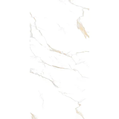 Calacatta 12" x 24" Porcelain Wall & Floor Tile done