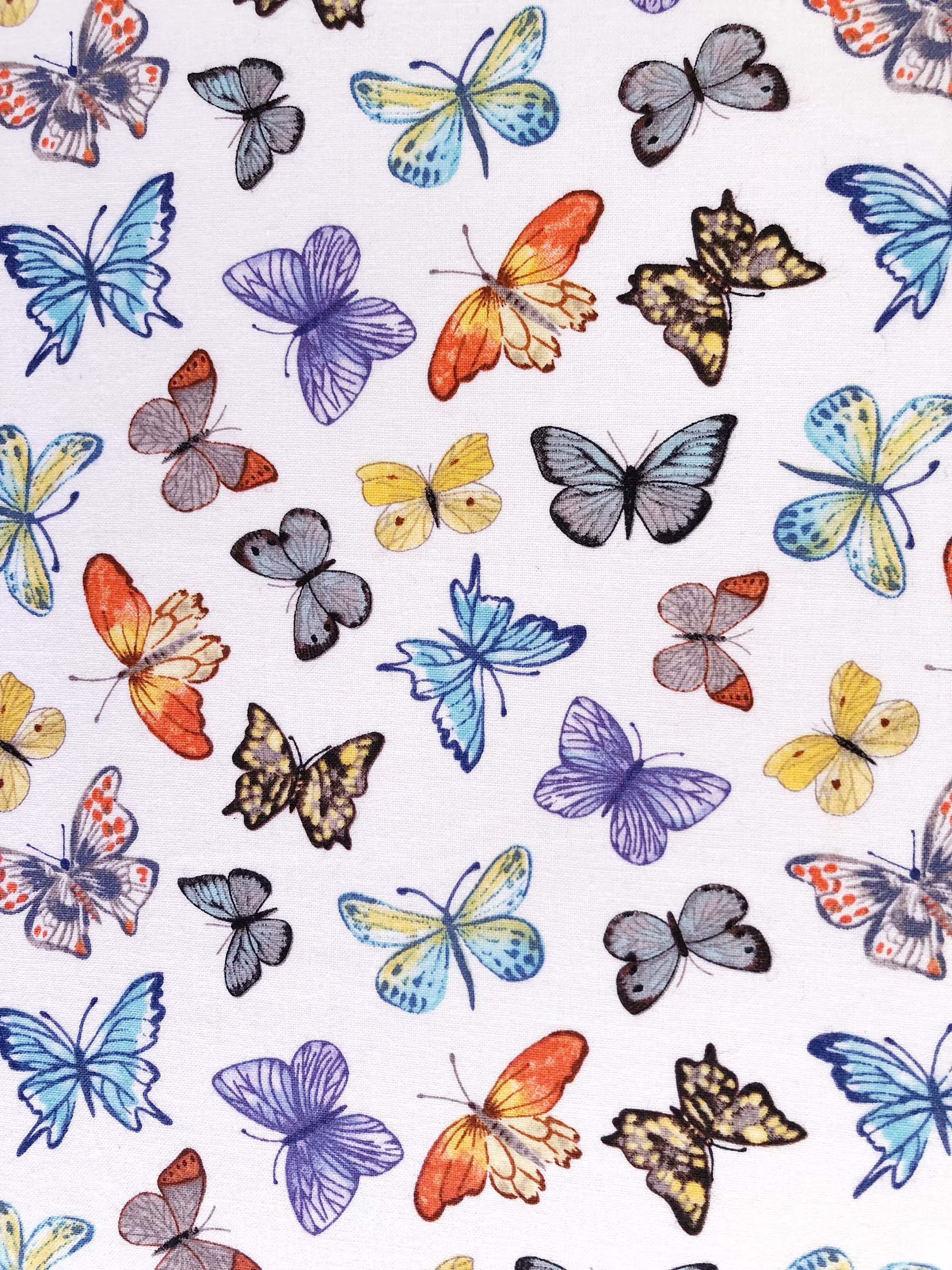 Colourful Butterfly Family All Over White Quilting Cotton Fabric By 1/4 Yard Or 1/2 Fat Quarter, Insect