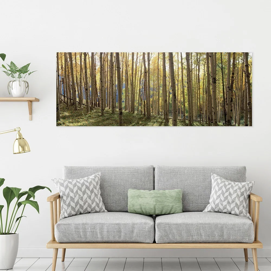Yosemite Home Decor "Sunlit Colorado Trees" Tempered Glass Wall Art - Multi-Color