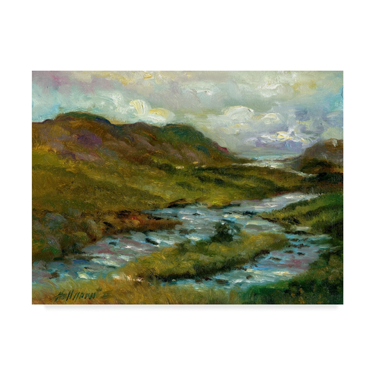 Hall Groat Ii 'Ring of Kerry, Ireland 2' Canvas Art - Multi-color
