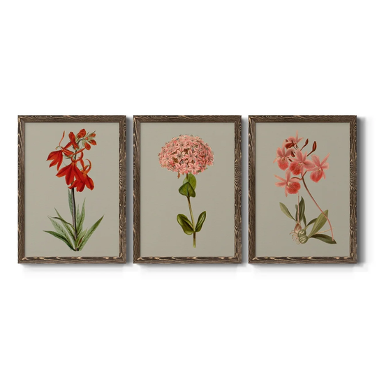 Botanical Array VII-Premium Framed Canvas - Ready to Hang - Multi-Color