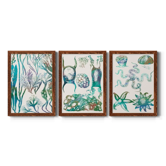 Aquatic Assemblage V-Premium Framed Canvas - Ready to Hang - Multi-Color