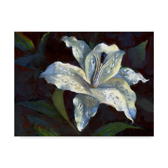 Hall Groat Ii 'White Lily Dark' Canvas Art - Multi-color