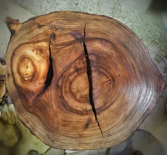 Elm Live Edge Coffee Table, Round Wood Slab, Rustic Modern Mid Century Hairpin Legs End Beech, Nightstand