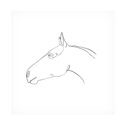 Emma Scarvey 'Equine Pencil Contour I' Canvas Art