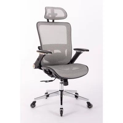 Ergonomic Mesh Office Chair - Rolling Home Desk Chair With 4d Adjustable Flip Armrests, Adjustable Lumbar Support And Blade Wheels(grey Mesh)