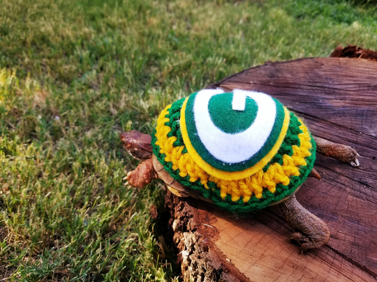 Football Team Inspired Costume For Turtles/ Tortoises