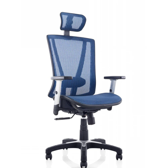 Ergomax Fully Meshed Blue Ergo Office Chair with Headrest
