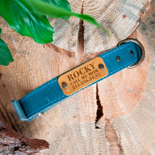 Custom Leather Dog Collar, Blue & Yellow Color, Personalized Collar Boy Girl, Engraved Name Plate, Ukraine Seller