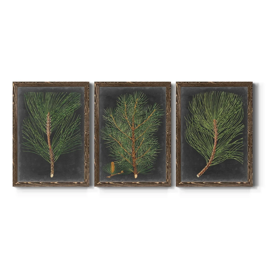 Dramatic Pine I-Premium Framed Canvas - Ready to Hang - Multi-Color