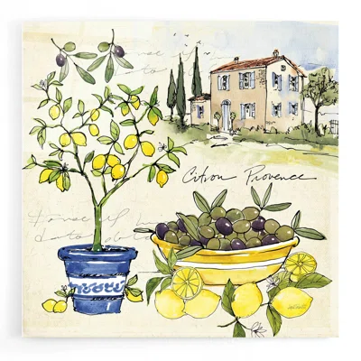 Citron IV by Ann Tavoletti - Unframed Print
