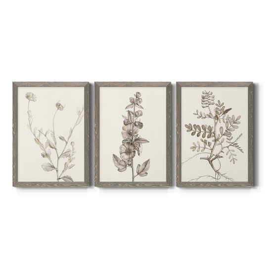 Neutral Botanical Study IV-Premium Framed Canvas - Ready to Hang - Multi-Color