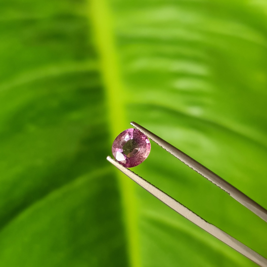 Natural Padparadscha Sapphire, Bi-Color. 1.24Ct. Purplish - Orange Sapphire, Cushion Cut. Certified Sapphire. Cd442