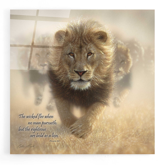Epic Art 'Wicked Flee' by Collin Bogle Acrylic Glass Wall Art