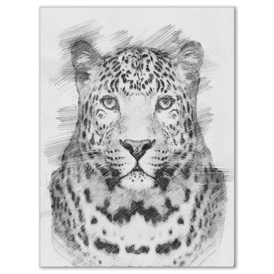 Designart 'Black and White Leopard in Pencil Sketch' Animals Print on Wrapped Canvas