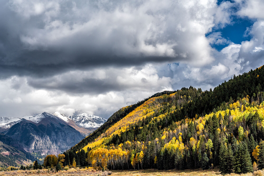 Telluride Colorado, Colorado Fall Color, Valley, Aspen Trees, Large Office Decor, Landscape Photo, Living Room Art