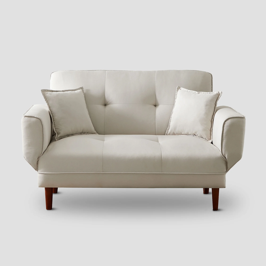 Zaylee Lounge Sofa Bed Sleeper With 2 Pillows