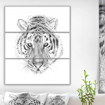 'Pencil Tiger Sketch in Black and White' Drawing Print Multi-Piece Image on Canvas