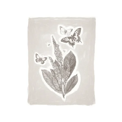 Colored Pencil Butterfly Plant Khaki - Print on Canvas