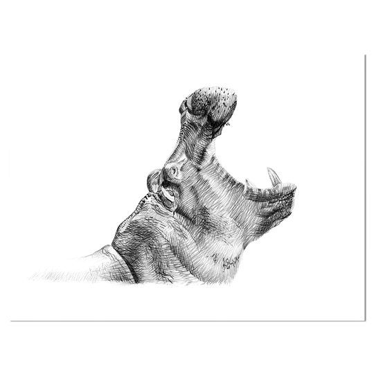 Designart 'Pencil hippo Sketch in Black and White' Animals Print on Wrapped Canvas - White
