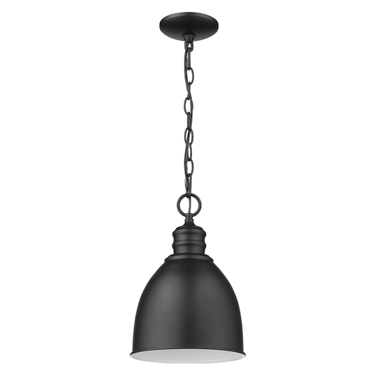 Colby 1-light Dome Pendant