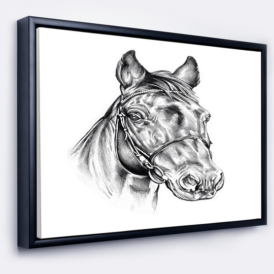 Designart 'Freehand Horse Head Pencil Drawing' Animal Framed Canvas Art Print