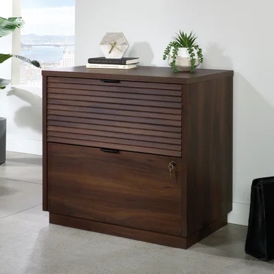 Raylee 2-Drawer Lateral Filling Cabinet