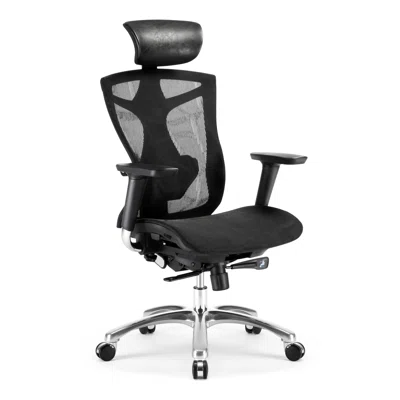 Juhel Ergonomic Office Chair with 2-Way Lumbar Support, Depth Adjustable Seat, 4D Arms, Height Adjustable