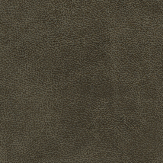 Assanto Genuine Leather Sofa