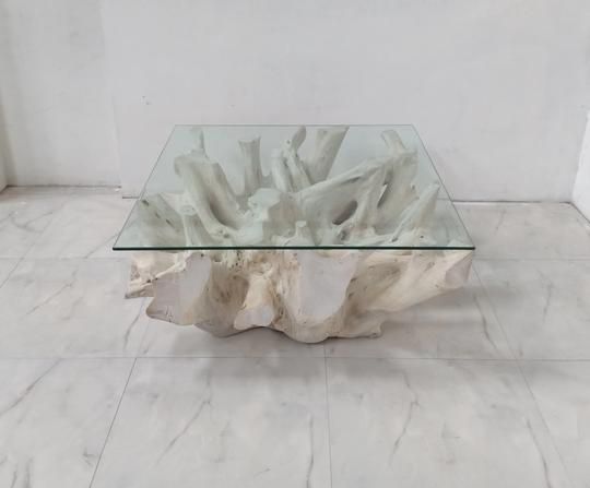 White - Square Teak Root Coffee Table Wood Tree Driftwood