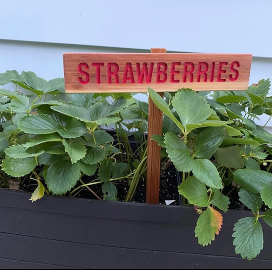 strawberries Garden Sign, Painted & Oil Sealed Cedar Wood Hand Routed, Red Summer Fruit, Gardener Gift, Custom Sign