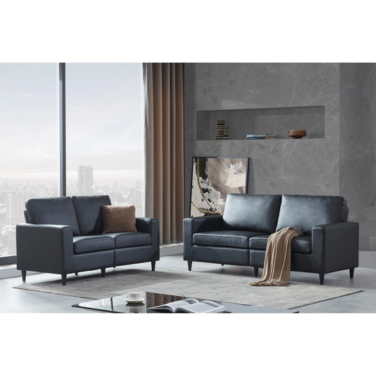 Modern Style Sofa for Home or Office