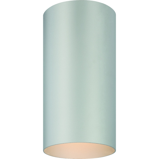 Volume Lighting 1-Light Silver Gray Outdoor Cylinder Flush Mount