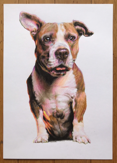 Original Drawing, Petty Dog, Children Friend, Colored Pencil, Hand Made, One Of A Kind