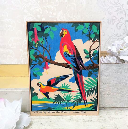 Colorful Vintage Parrot Amateur Art Illustration, Marker On Paper, Exotic Birds, Beach House Décor, Summer Tropical Boho Artwork, 1950S